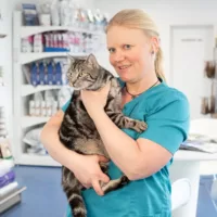 Dr. med. vet Natalie Steidele